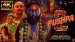 Pushpa 2 Trailer Review